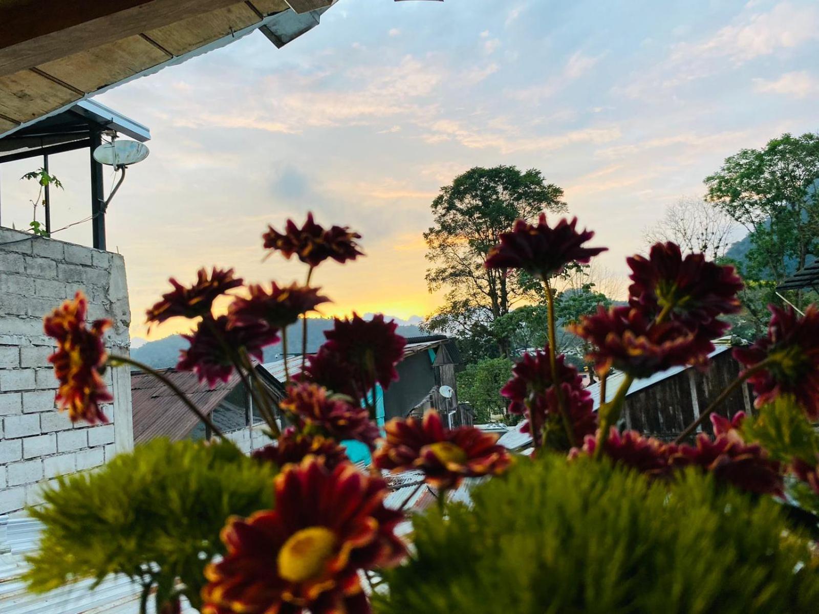 Guayabo Hostal Mindo Bagian luar foto